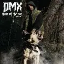 Were my dogs at