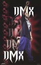 DMX,DMX,DMX
