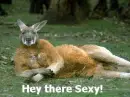 Hey there Sexy!