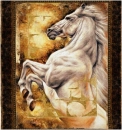 White Stallion