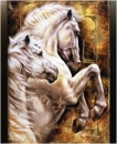 Wild White Horses