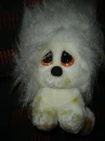 Aw! Cute lil puppy!