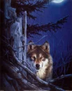 BlueWolf