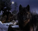 NightWolves