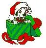 Christmas Present