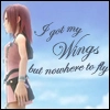 Nowhere to fly