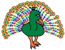 Peacock