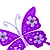 violet butterfly