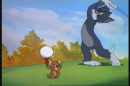 Playing Golf