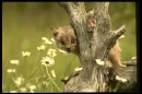 You Can't See Me!