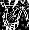 butterfly bones