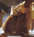 Aww!