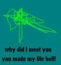 you made my life hell