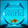my world