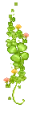 green leaves