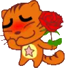 cat & red rose