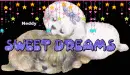 sweet dreams