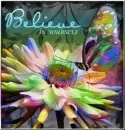 Colorful flower with changing butterfly