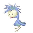 bird