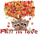 fall in love