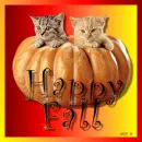 Happy Fall