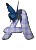 butterfly A