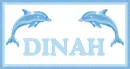 Dolphins with Dinah