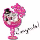 Congrats