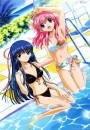 Kahvi and Aimi