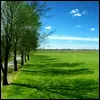 Nature avatar