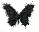 Black Butterfly
