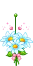 blue daisy