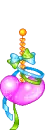 colourful hearts