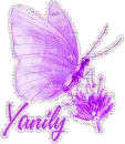 Yanily