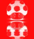 Mushroom red