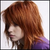 hayley williams