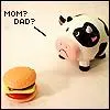 A cows nightmare