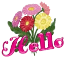 Hello