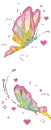 colourful butterflies