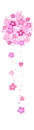 pink flowers