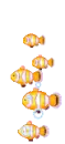 fish-swimming