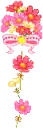 red and pink flowers