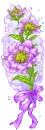purple flowers