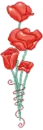 red rose