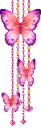 butterflies