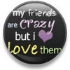 I love my friends button