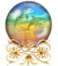 Dolphins snowglobe.