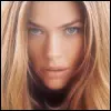 denise richards