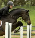Show Jumping