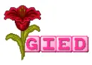 gied